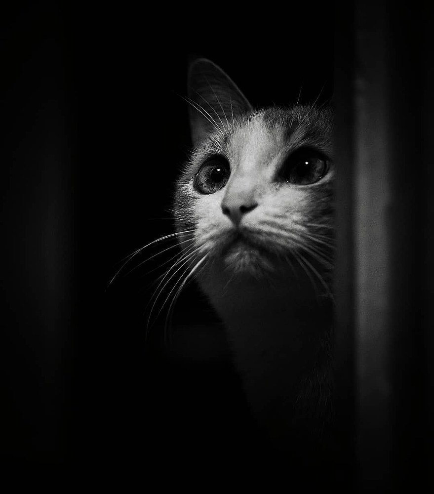 Photograph by Михаил Королёв