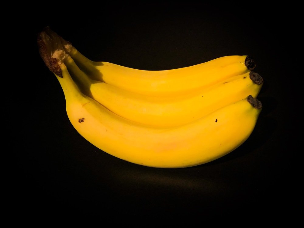 Photograph by Luka Mitrovic