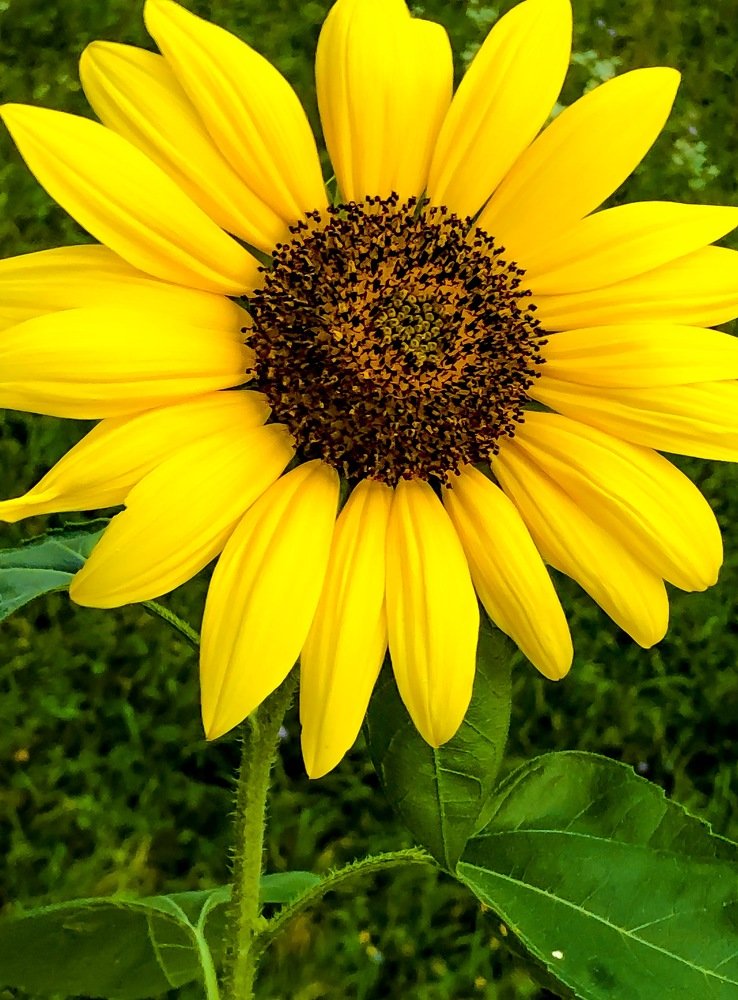 Photograph by Luka Mitrovic