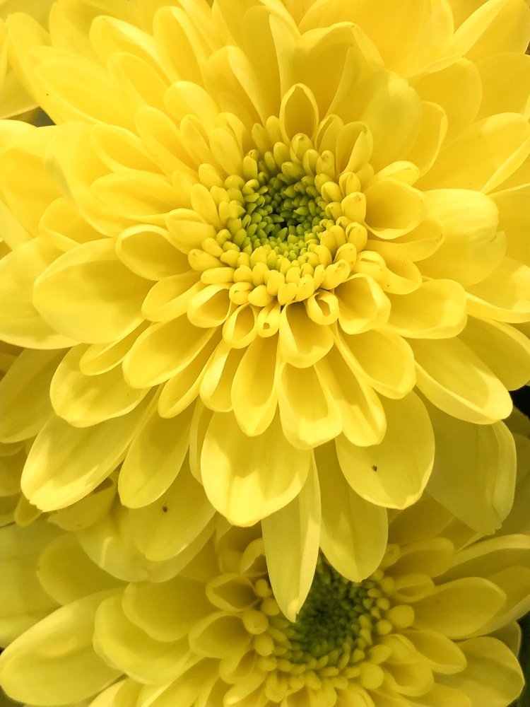 Photograph by Luka Mitrovic