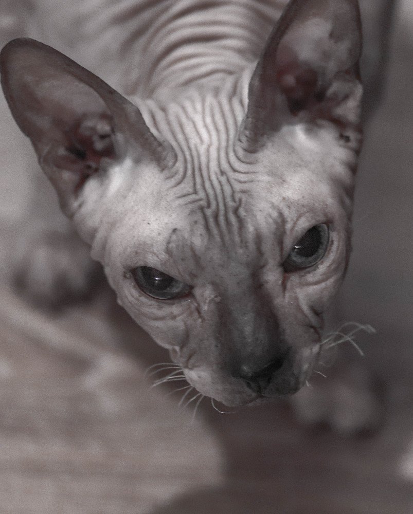 Photograph by Екатерина