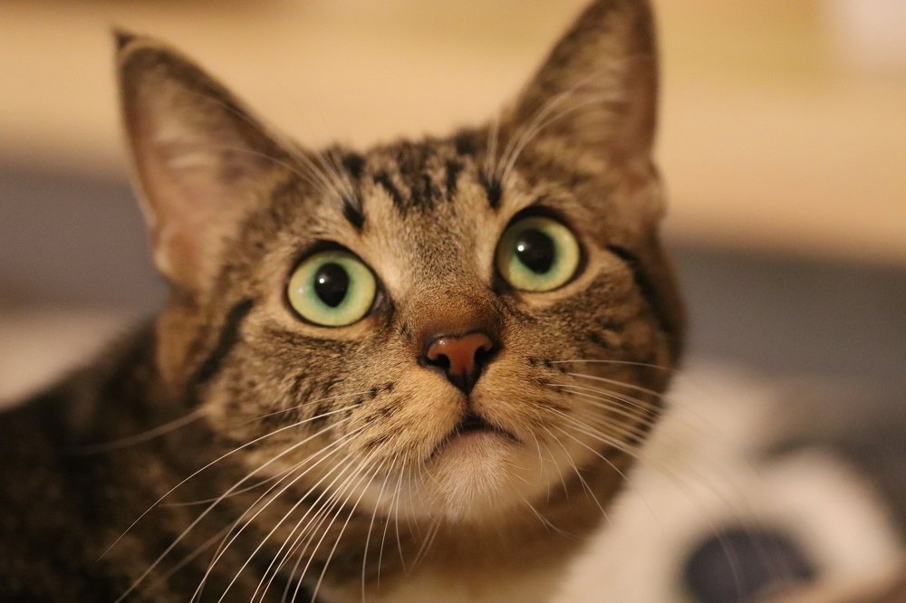 Photograph by Екатерина