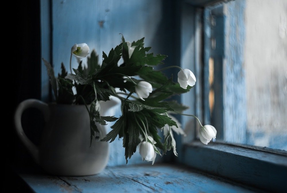 Photograph by Ирина Савицкая