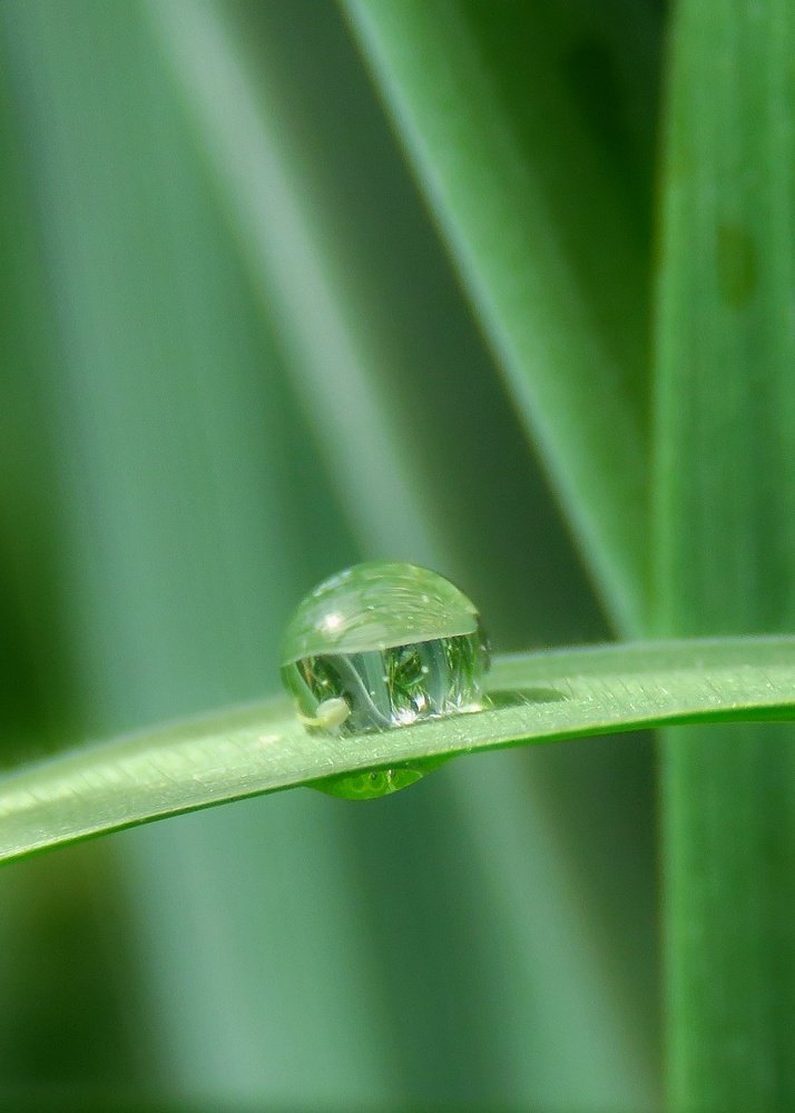 Photograph by Amin Ghaffarian