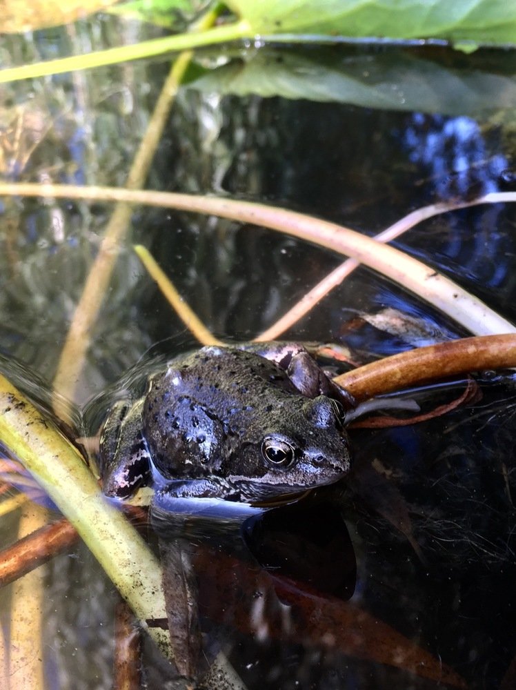 Photograph by Роман Желонкин