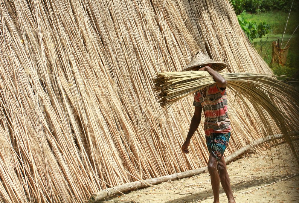 Photograph by Tanim Rahman