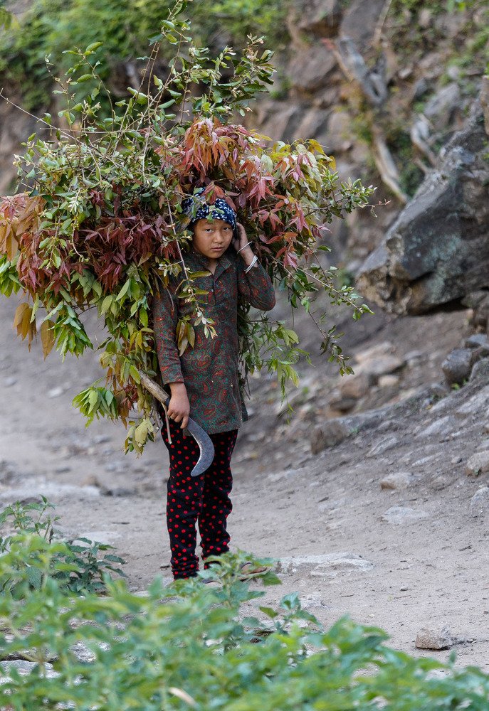 Photograph by Михаил Прицкер