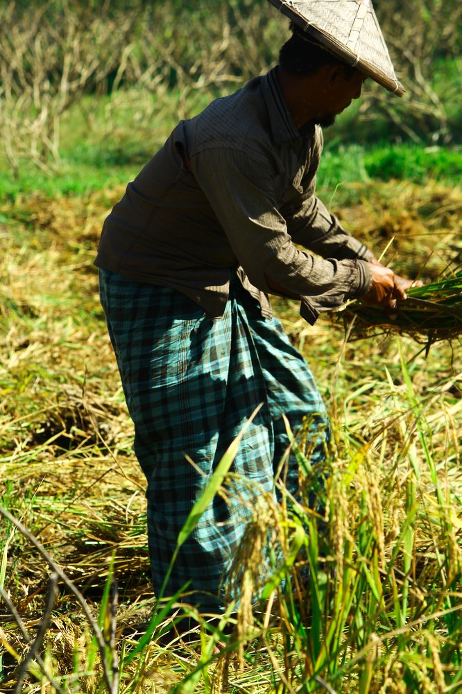 Photograph by Tanim Rahman