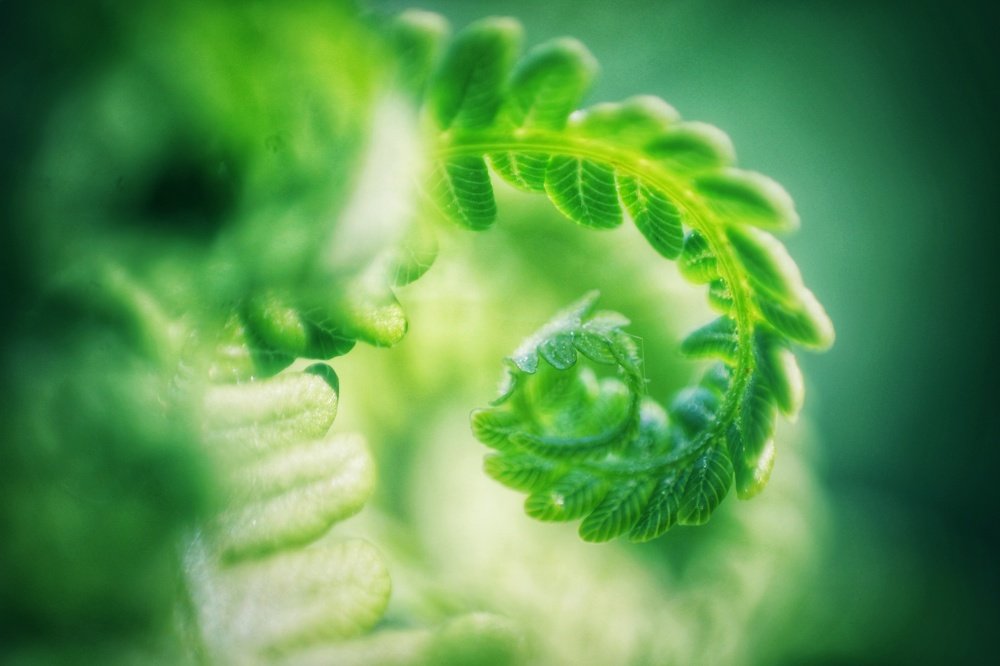 Фотография автора Найденова Алина