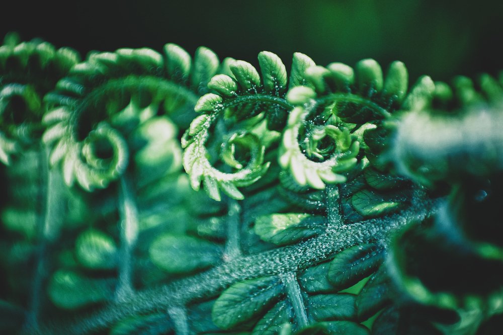 Фотография автора Найденова Алина