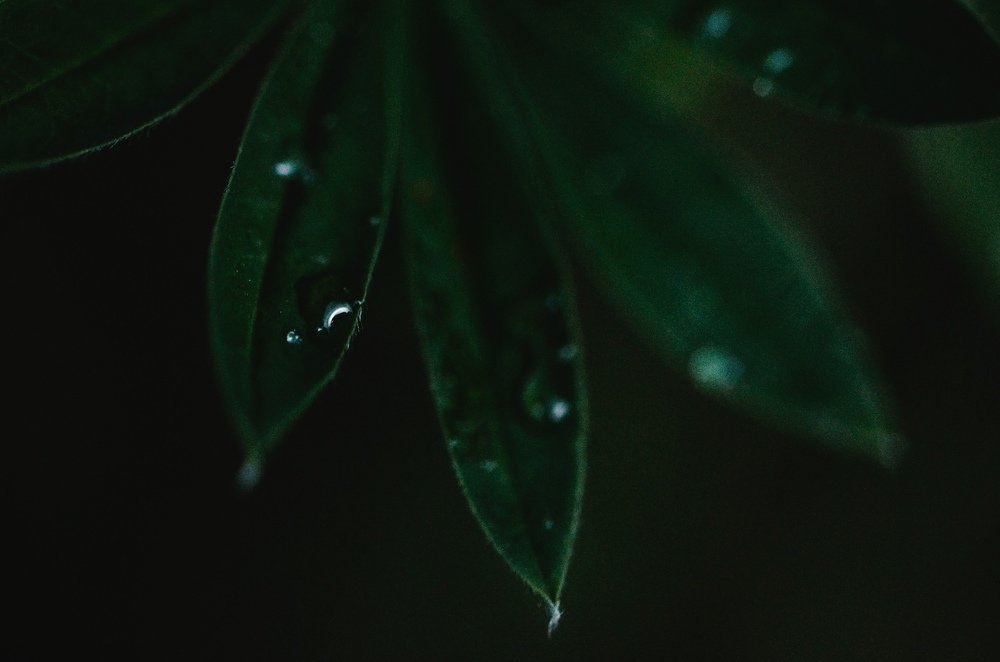 Photograph by Дмитрий Беликов