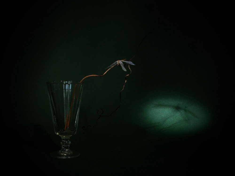 Лето красное пропела