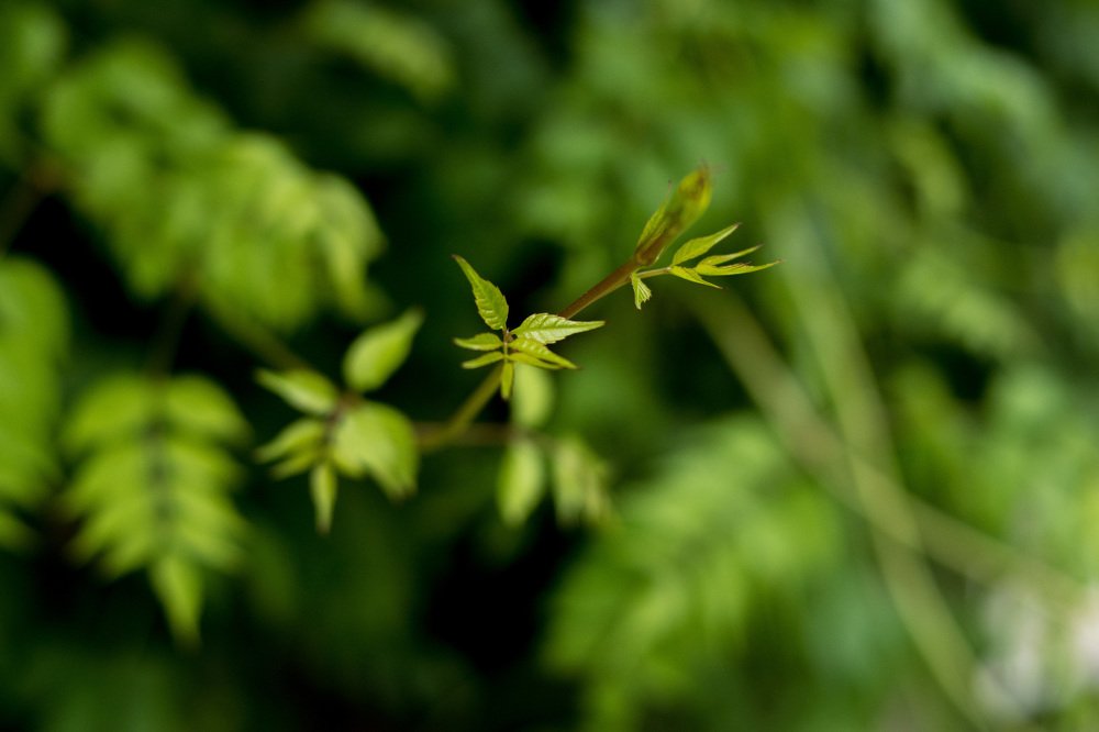 Photograph by Юлия