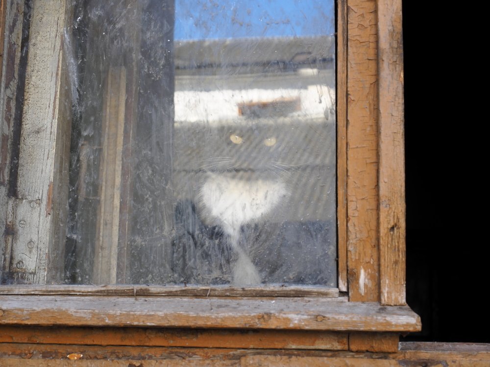 Скоро улыбнётся и исчезнет...