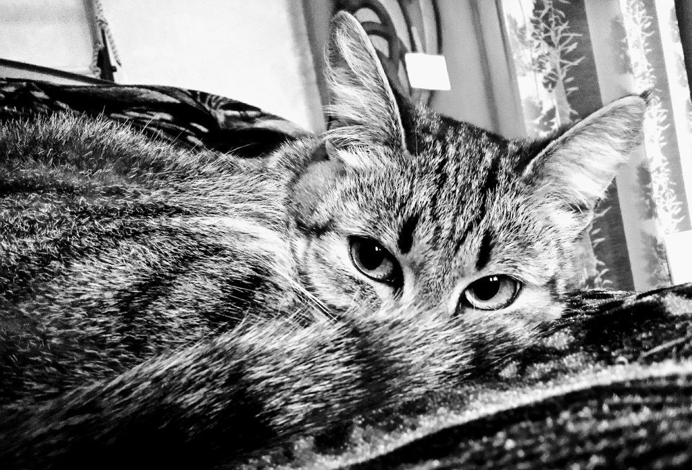 Photograph by Михаил Тюрев