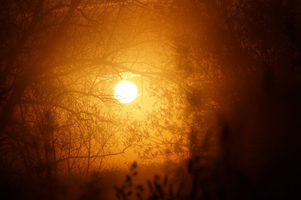 Photograph by Влад