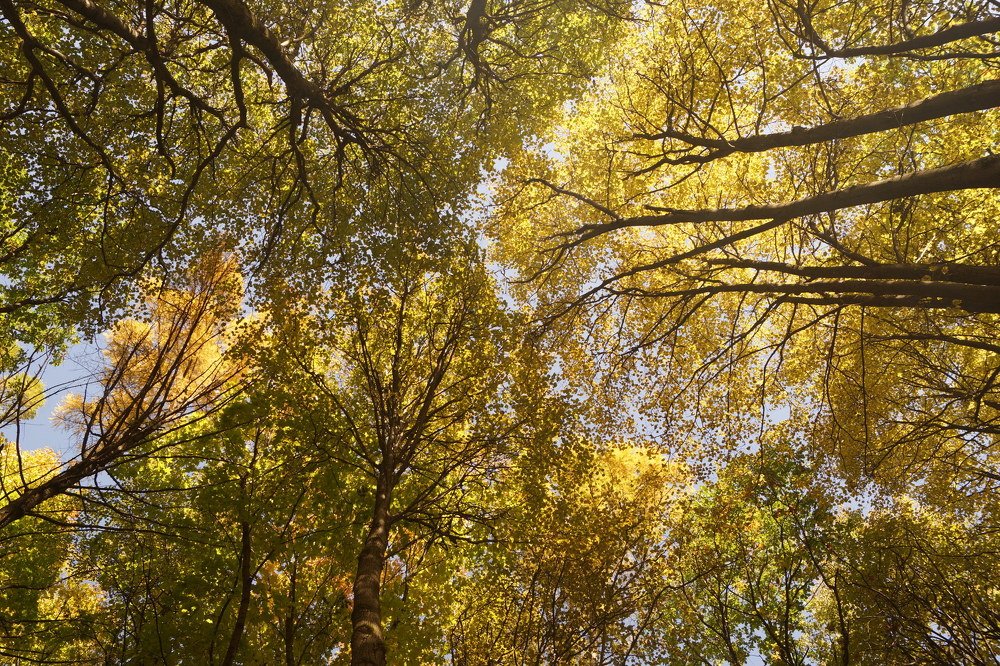 Photograph by Влад