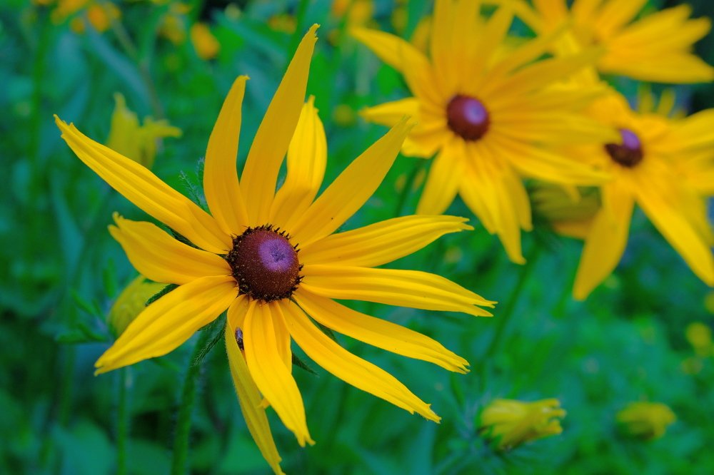 Photograph by Григорий Иванов