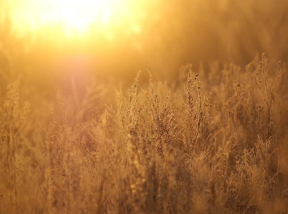 Photograph by Влад