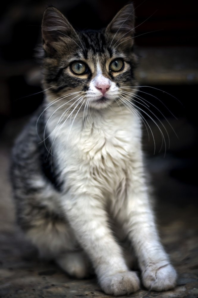 Photograph by Luigi Greco