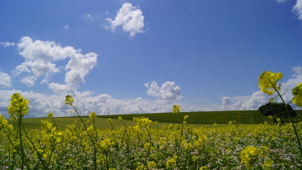 Photograph by Влад