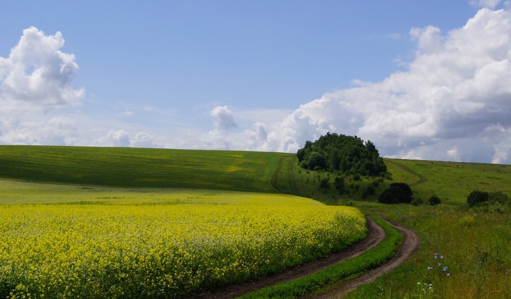 Photograph by Влад