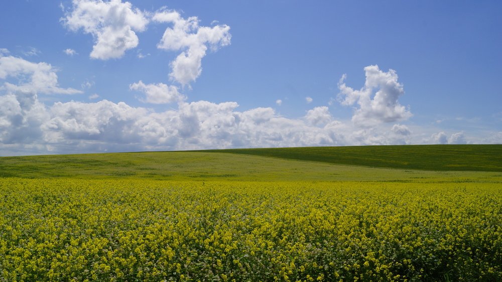 Photograph by Влад