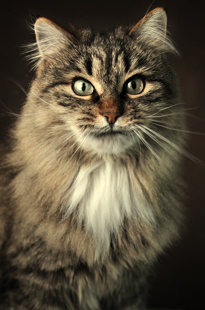 Photograph by Алексей Степанюк