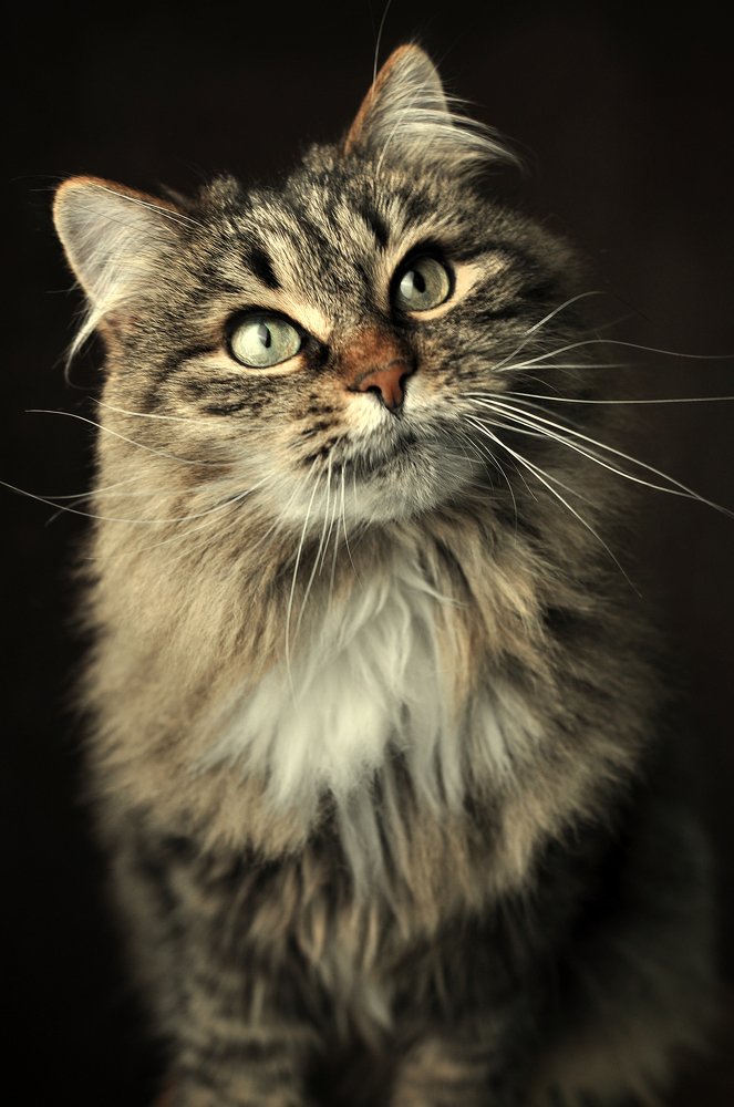 Photograph by Алексей Степанюк