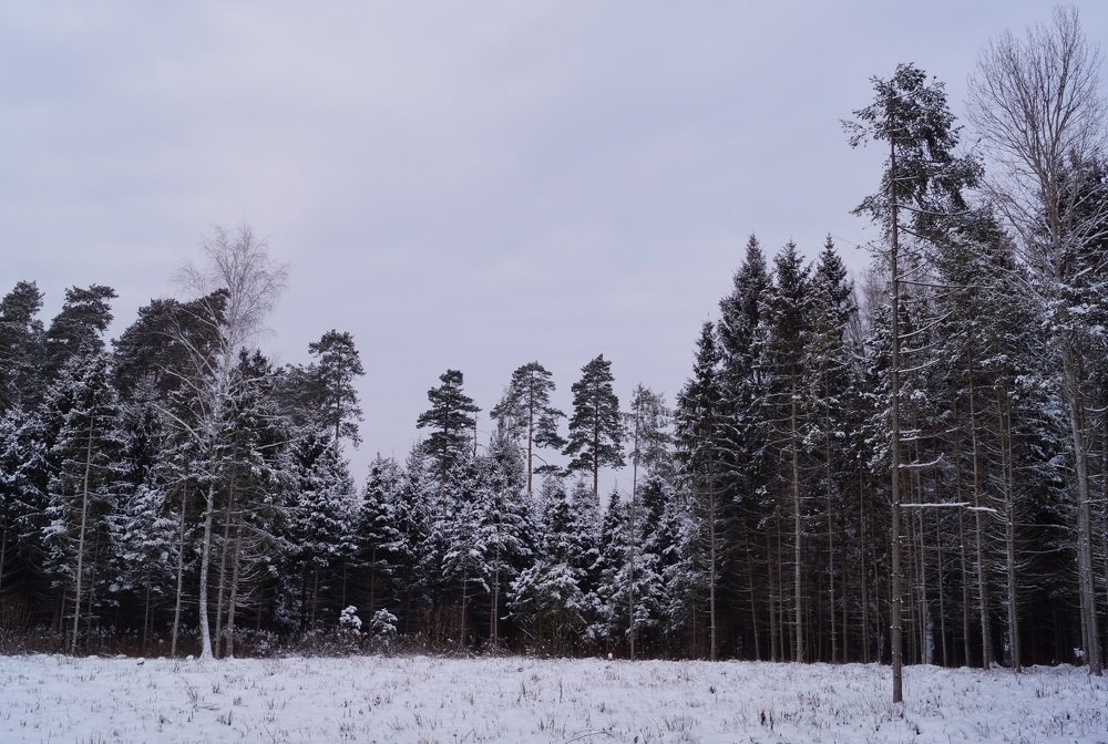 Photograph by Влад