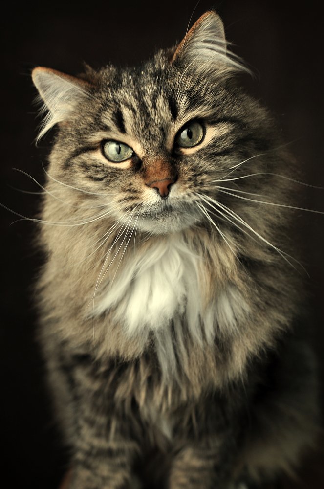 Photograph by Алексей Степанюк