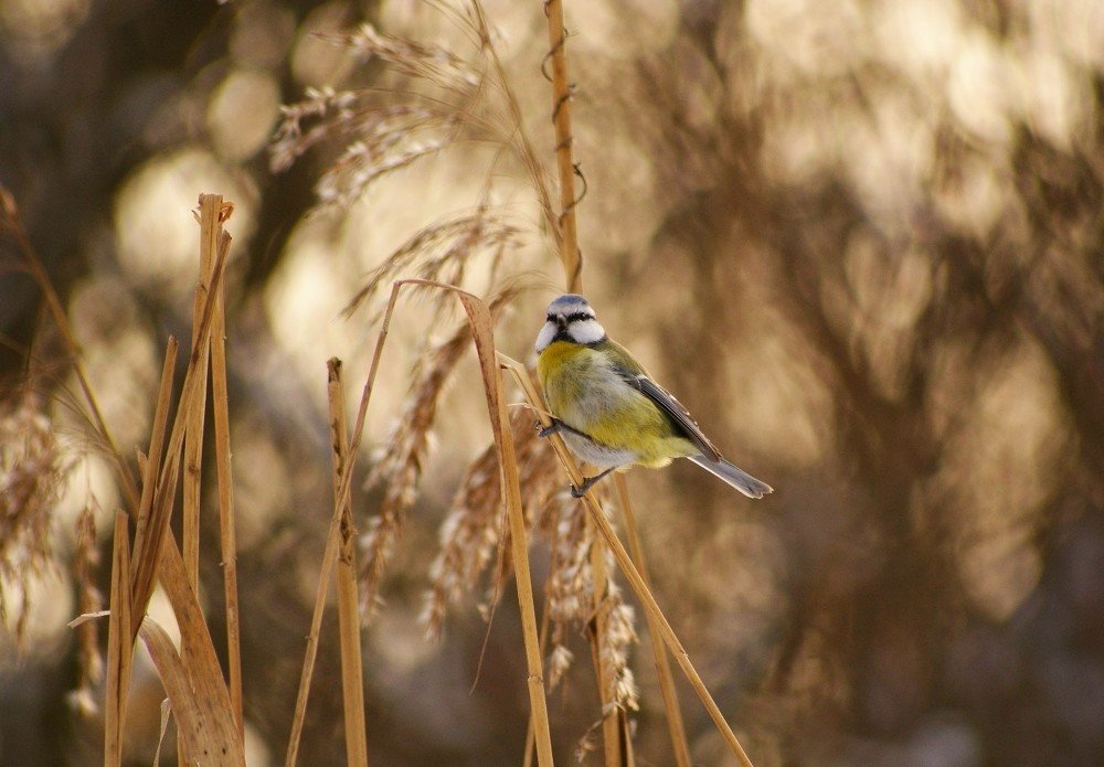 Photograph by Влад