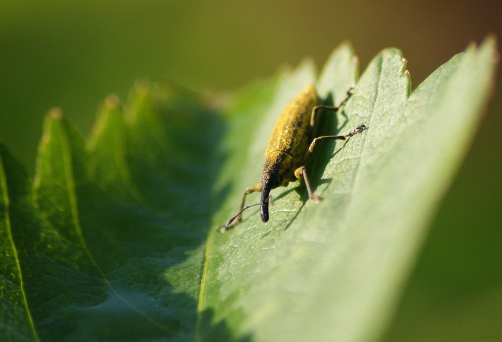 Photograph by Влад