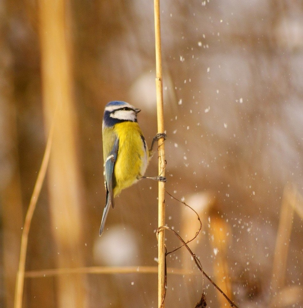 Photograph by Влад