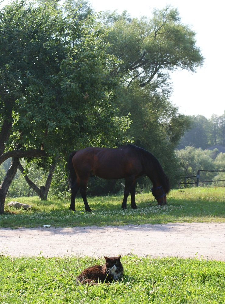 Photograph by Влад