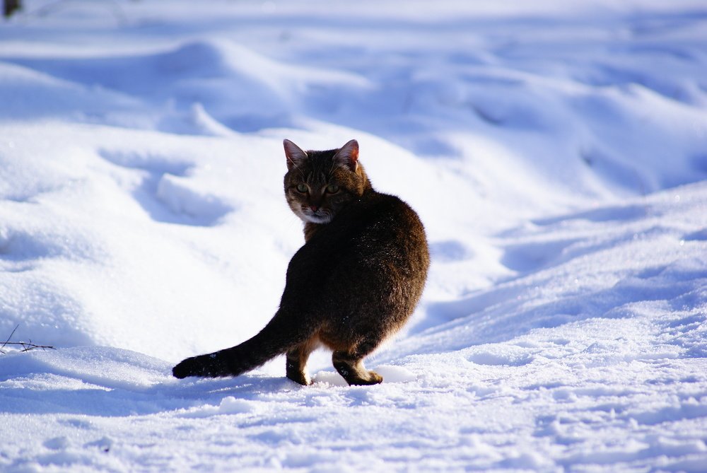 Photograph by Влад