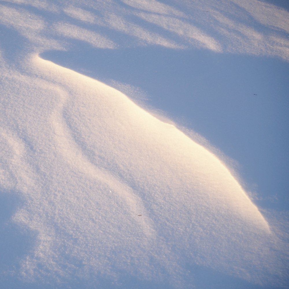 Photograph by Сергей Гаврилов