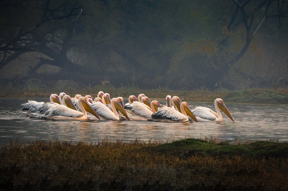 Photograph by Vipul Saxena