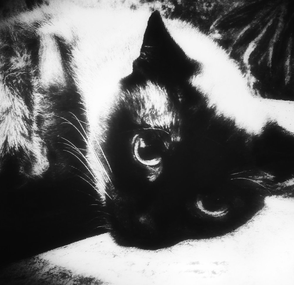 Photograph by Людмила М