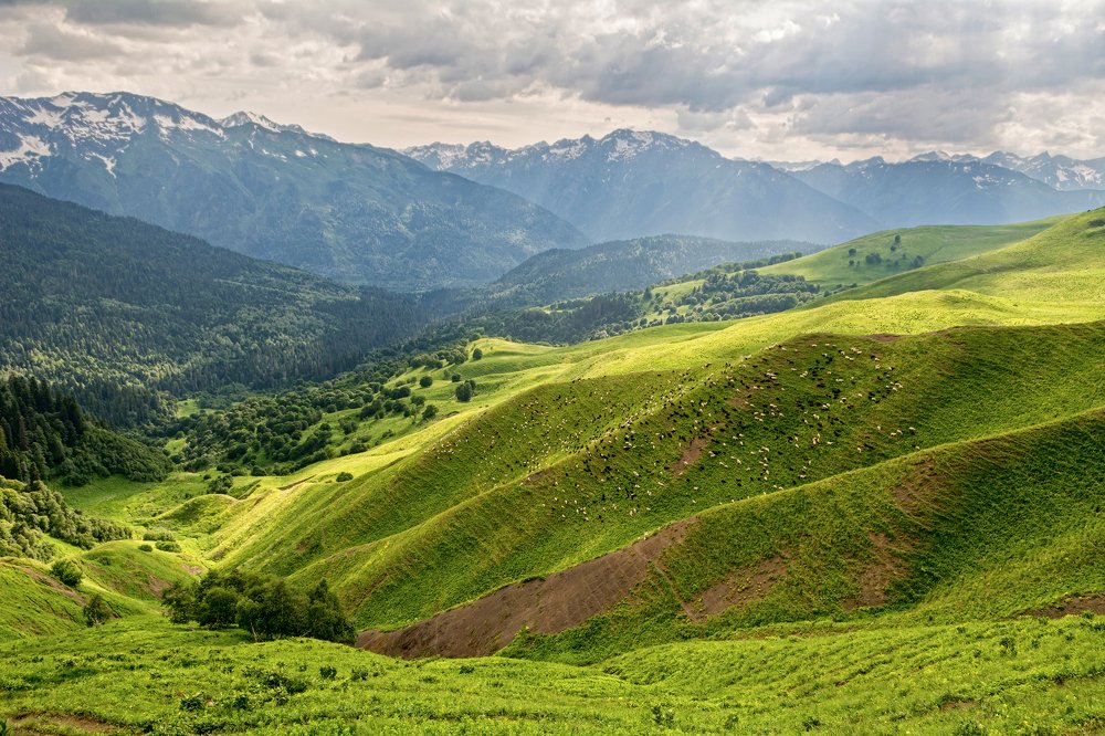 Photograph by Елена Ковалева