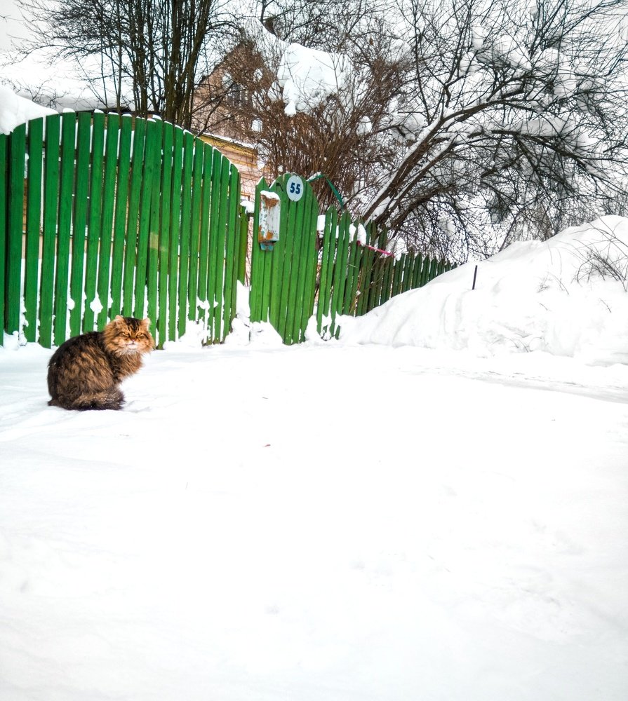 Photograph by Максим Белоус