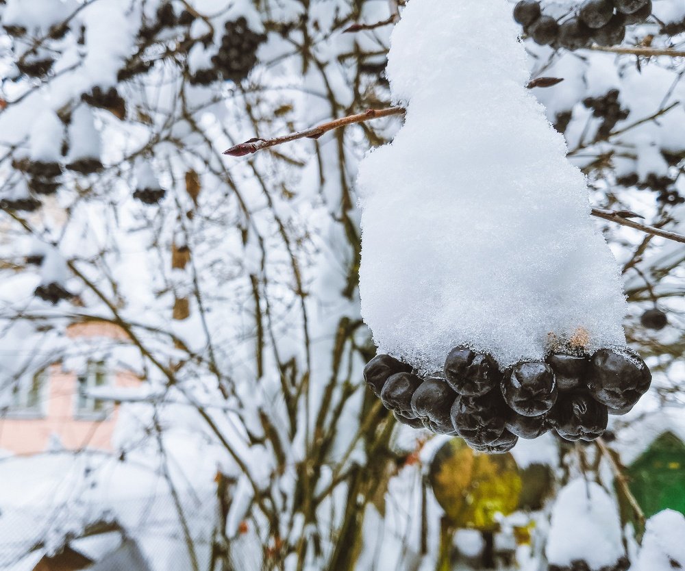 Photograph by Максим Белоус