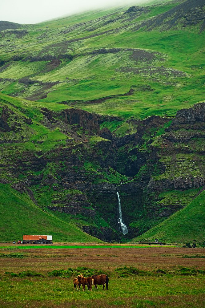 Фотография автора Владимир Эделев