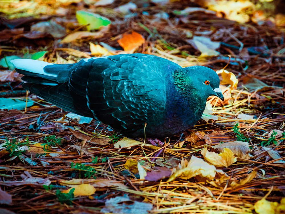 Photograph by Karina Sapfir