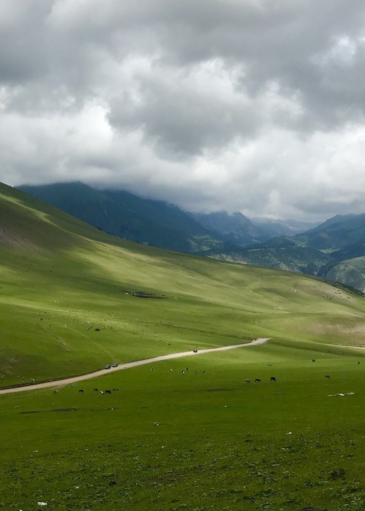 Photograph by Анар Амирова