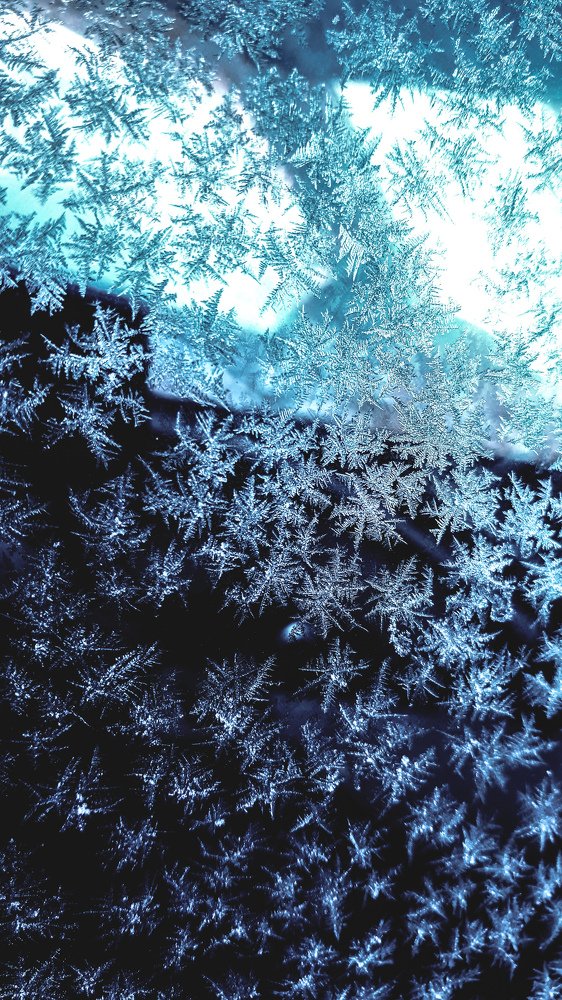 Photograph by Karina Sapfir