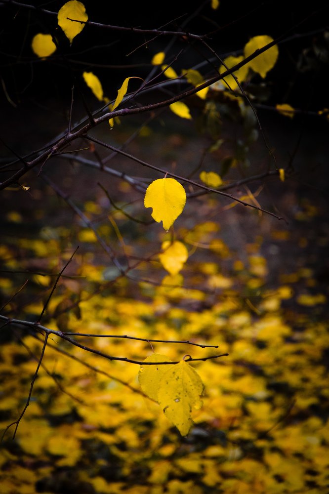 Photograph by Karina Sapfir