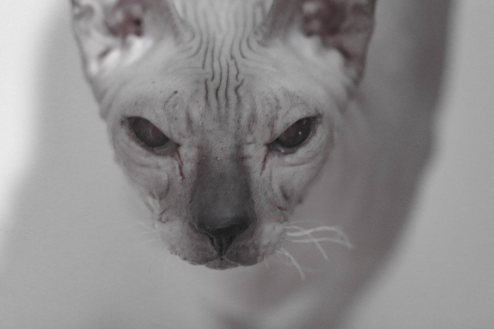 Photograph by Екатерина