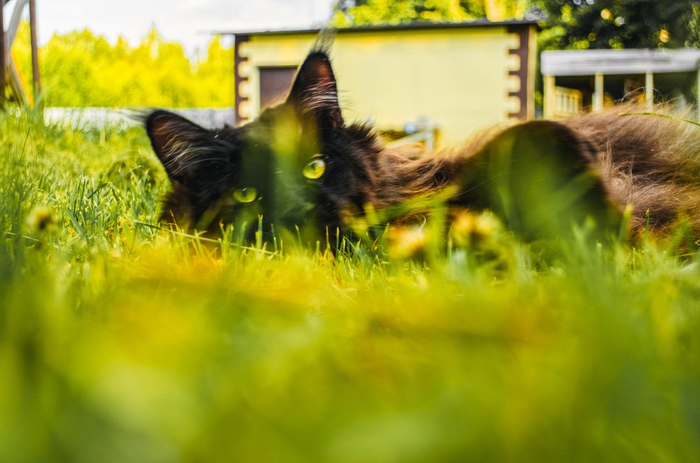 Photograph by Максим Белоус