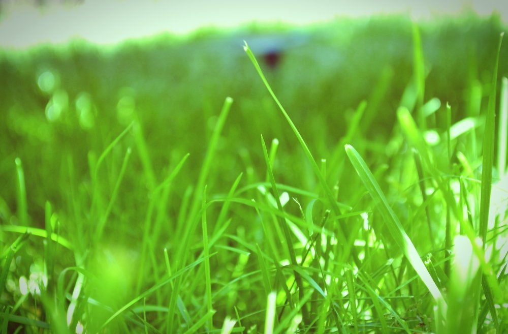 Photograph by Karina Sapfir